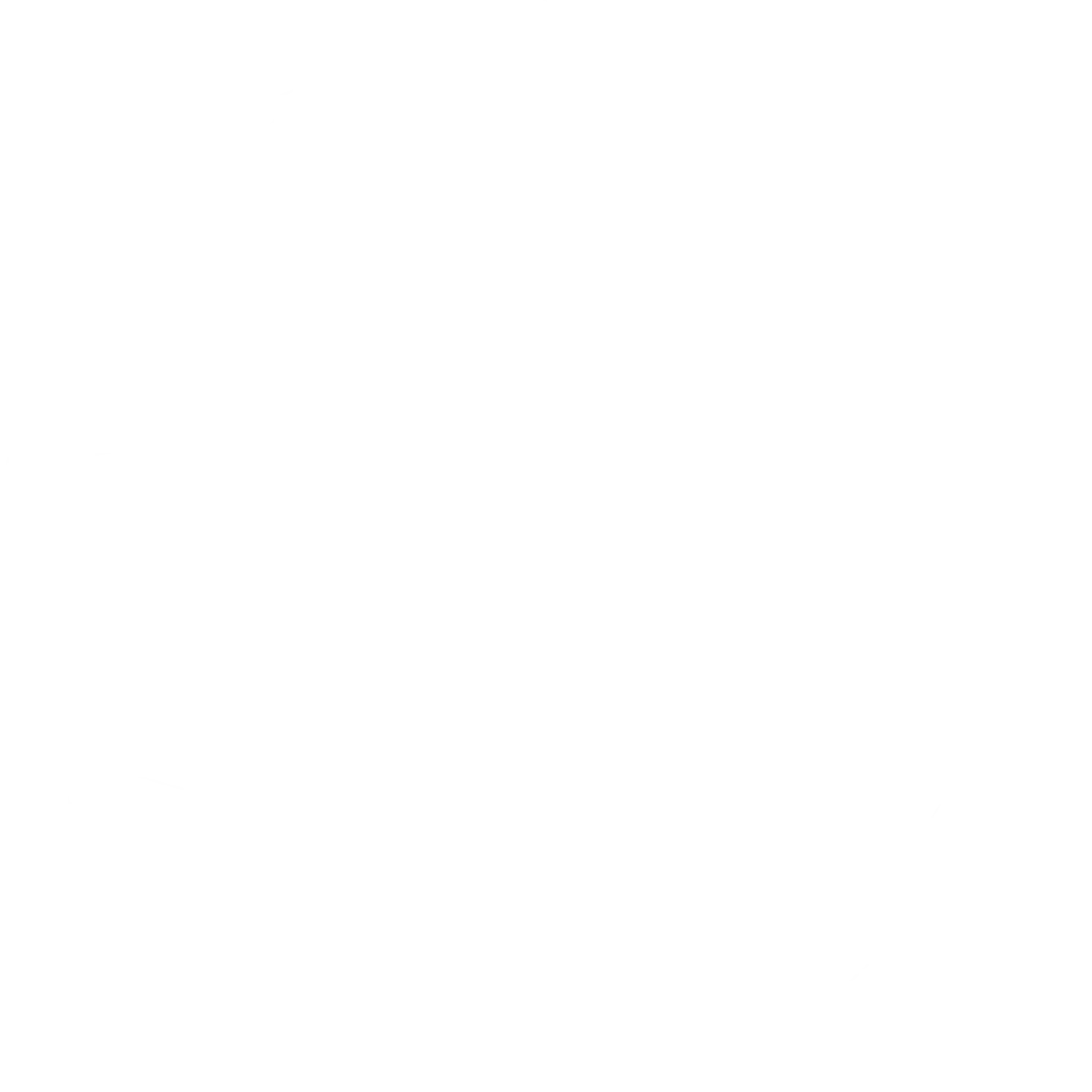 Globe Map Grid texture