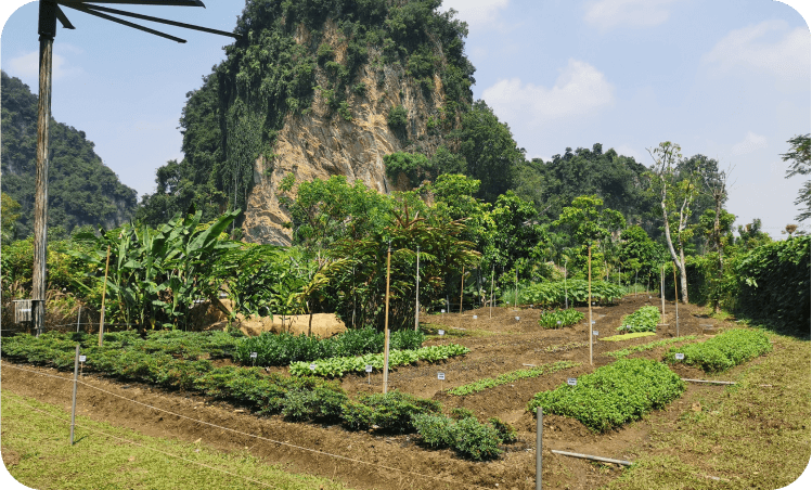 Food Composting